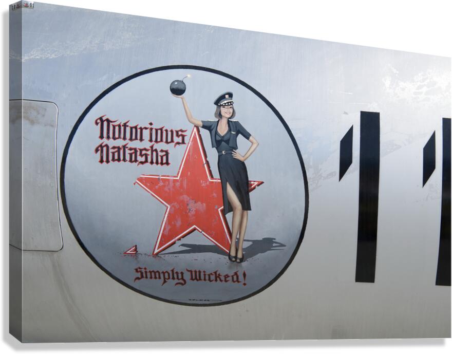 KO B79793 Canvas Print