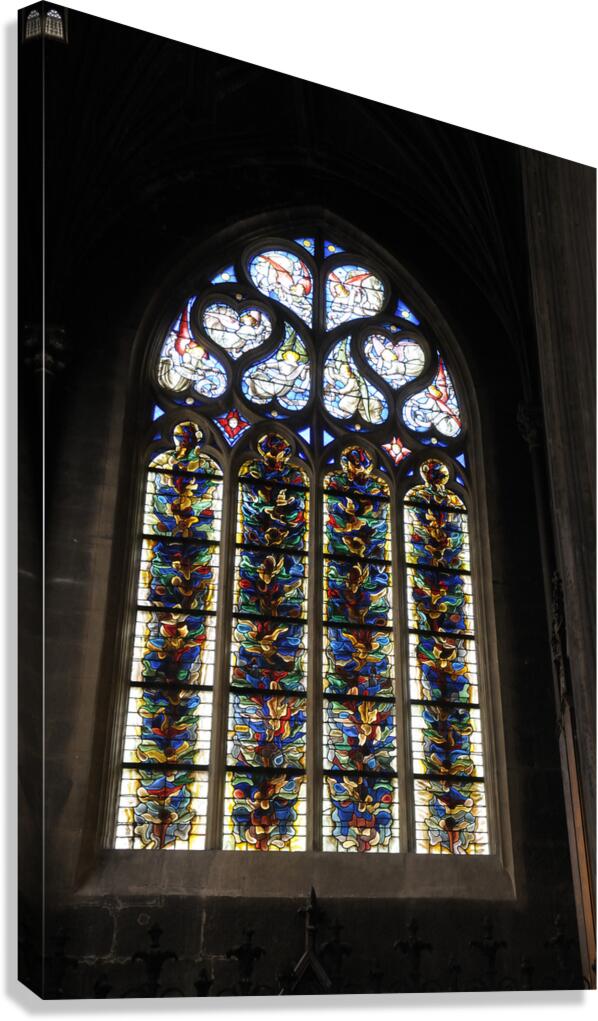 Cathedrale Saint Jean Baptiste Lyon France Canvas Print