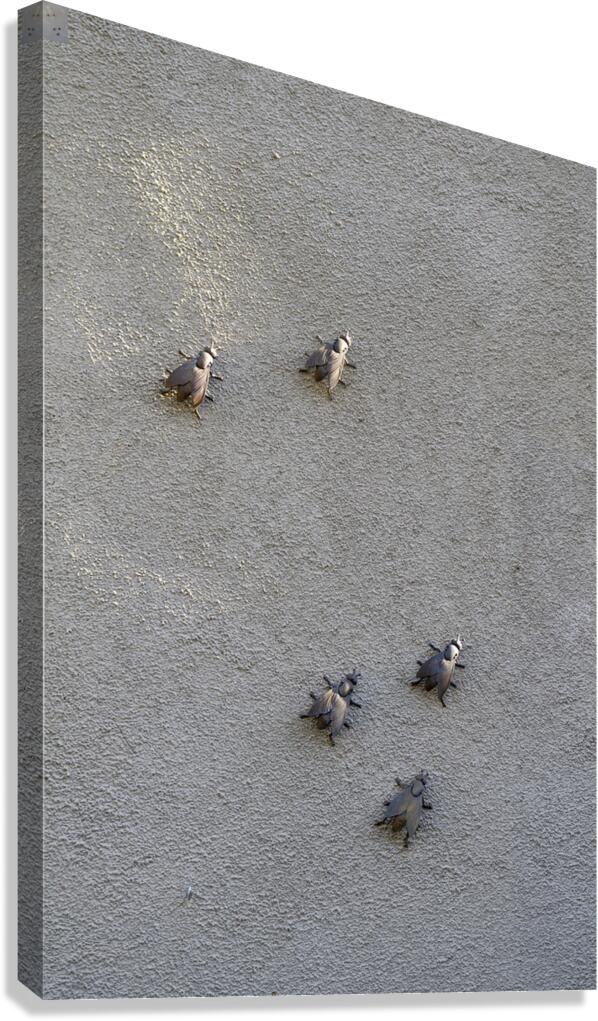 Metal fly sculpture on a house wall Tannay Nièvre Burgundy France Canvas Print