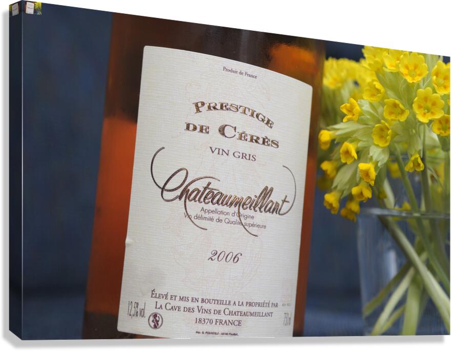 Le Guetin Cher Centre France Canvas Print