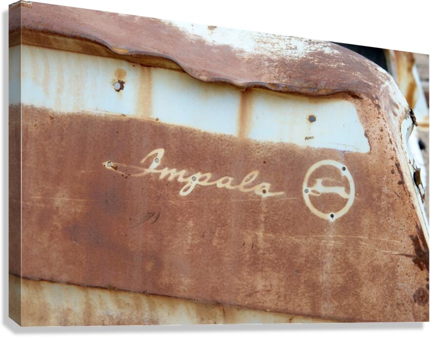 Rhyolite Nevada USA Canvas Print