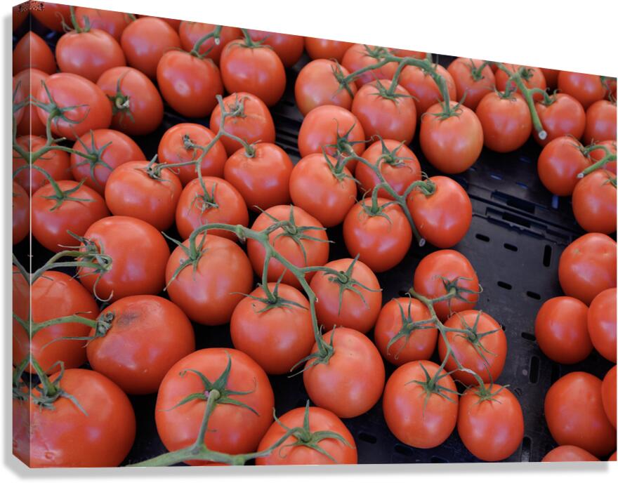 KO D16949 Canvas Print