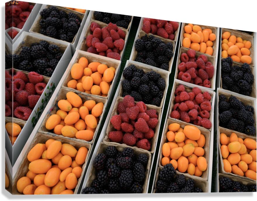 KO D17013 Canvas Print