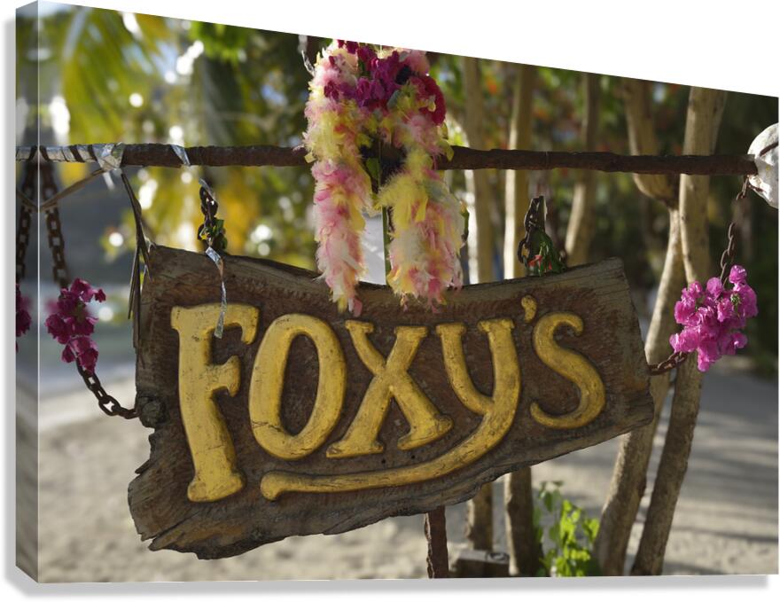 KO BVI 08474a Canvas Print