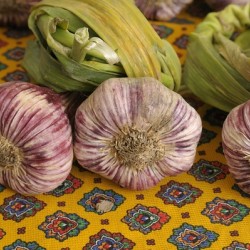 Garlic at the Friday market in Lourmarin