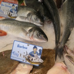 Seafood at the Thursday Market - Boulevard Saint Germain