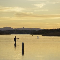 Backlit man fishing at sunset Patagonia Lake State Park Arizona USA