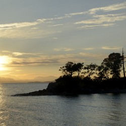 Sunset over Vancouver Island with silhouetted trees