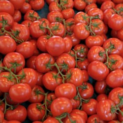 Tomatos at the Thursday Market - Boulevard Saint Germain