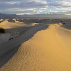 Mesquite Flat Sand Dunes at sunrise