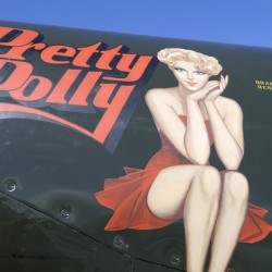 Bell P 63 Kingcobra Palm Springs Air Museum