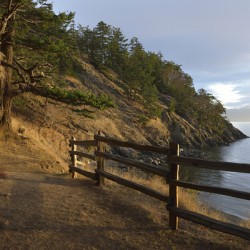 Wood fencing along the cliffs at East Cove