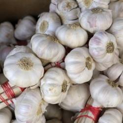 Braided garlic at the Lourmarin street market