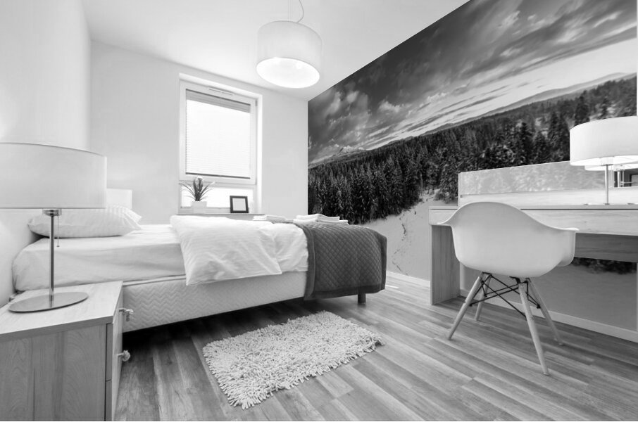 Cowichan Winter - Black & White Mural print