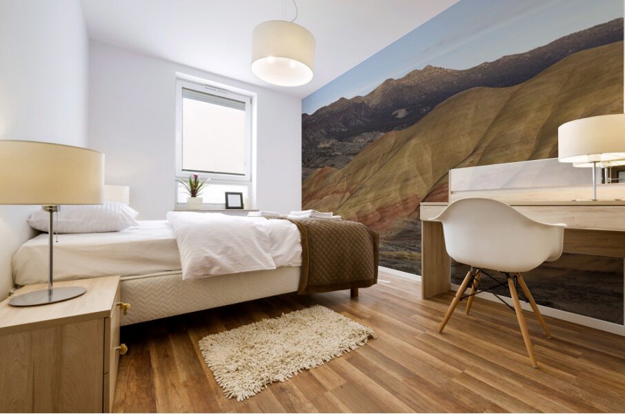 John Day Fossil Beds - Painted Hills Mural print