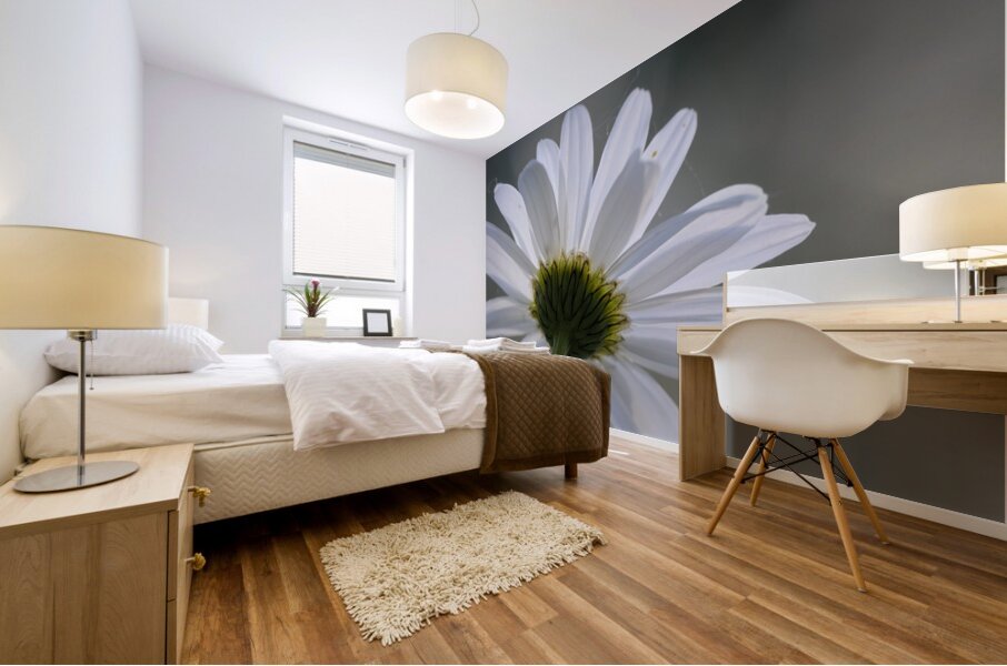 Daisy Cowichan Valley Vancouver Island British Columbia Canada Mural print