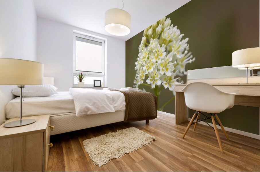 Death Camas or Meadow Death camas Zigadenus venenosus Cowichan Valley Vancouver Island British Columbia Canada Mural print