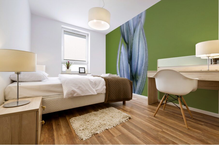 Common Camas Camassia quamash Cowichan Garry Oak Preserve Cowichan Valley Vancouver Island British Columbia. Mural print