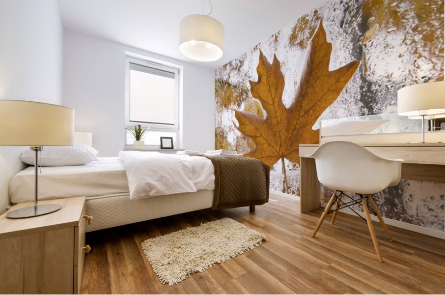 KO 45955 1 Mural print