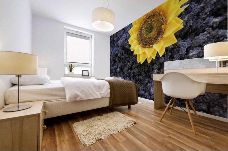 Dried sunflower with lavender flowers Mural print