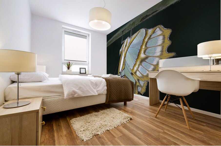 Butterfly at the La Selva Jungle Lodge butterfly farm Amazon Ecuador Mural print