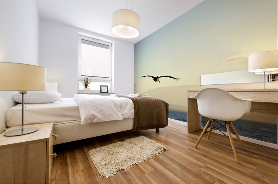 Brown Pelican Pelecanus occidentalis Elizabeth Bay Isabela Island Galapagos Islands Ecuador Mural print