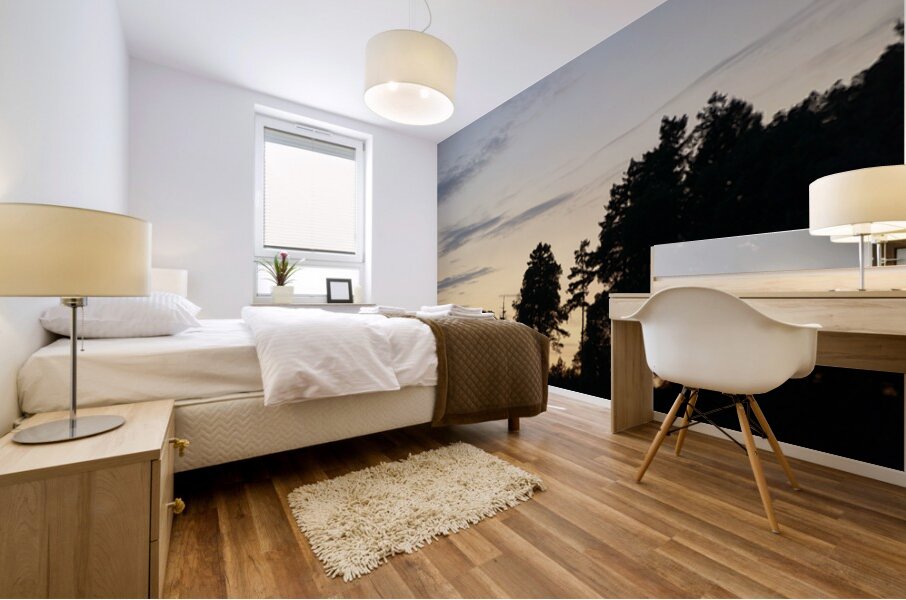 Silhouetted trees at sunset Mural print