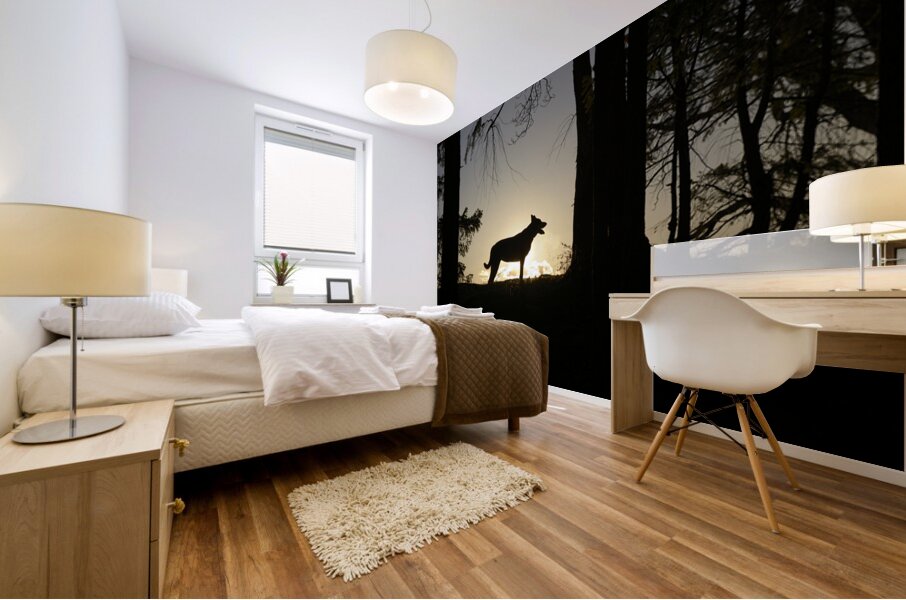 Large dog silhouetted at sunset - Wallace Island Mural print