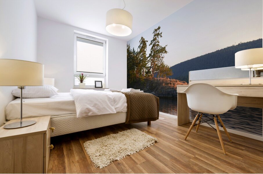 Arbutus and fir trees on the point at Conover Cove Mural print