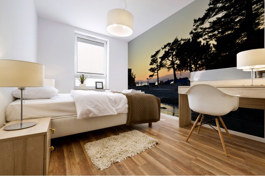 Sucia Island Sunset - San Juan Islands Mural print