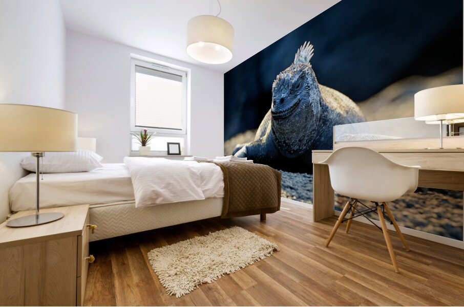 Marine Iguana perched on the rocks Punta Espinosa Mural print
