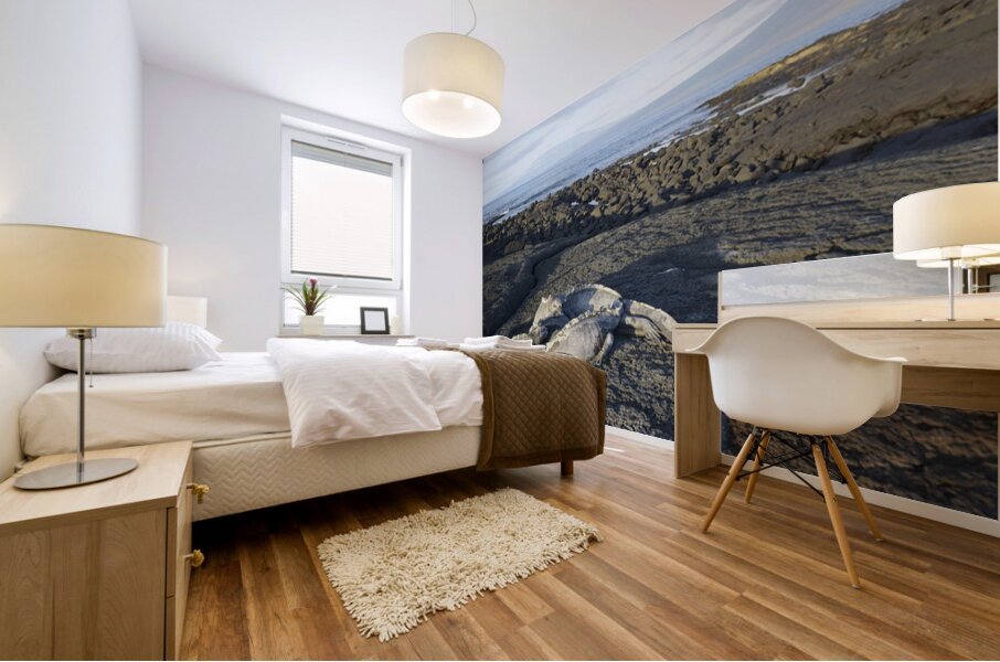 KO EC 10853 Mural print