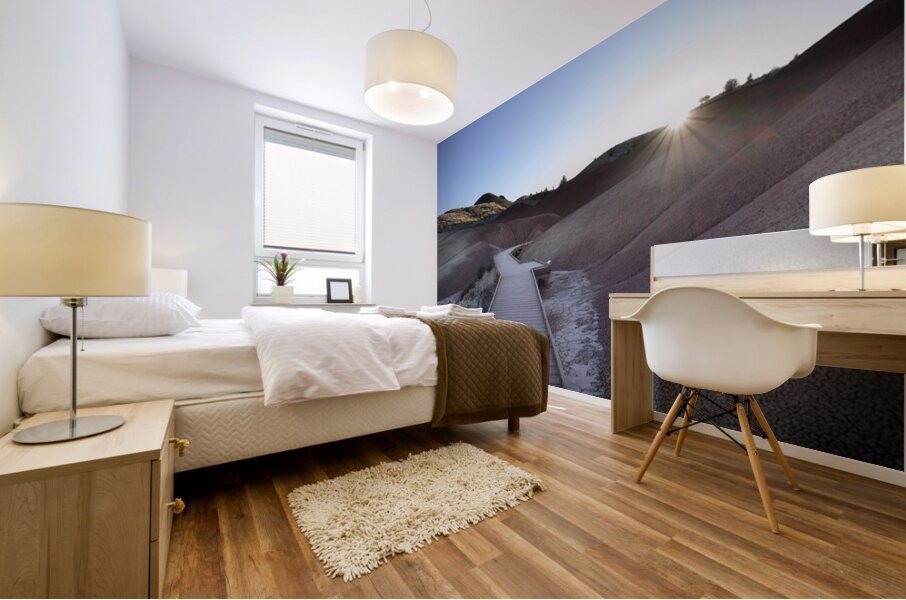 John Day Fossil Beds National Monument Oregon Mural print