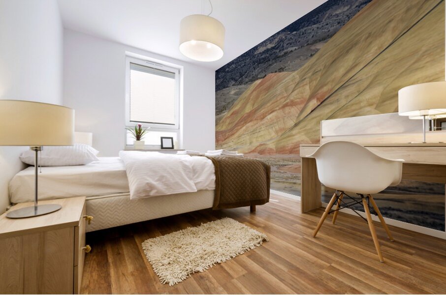 John Day Fossil Beds National Monument Oregon Mural print