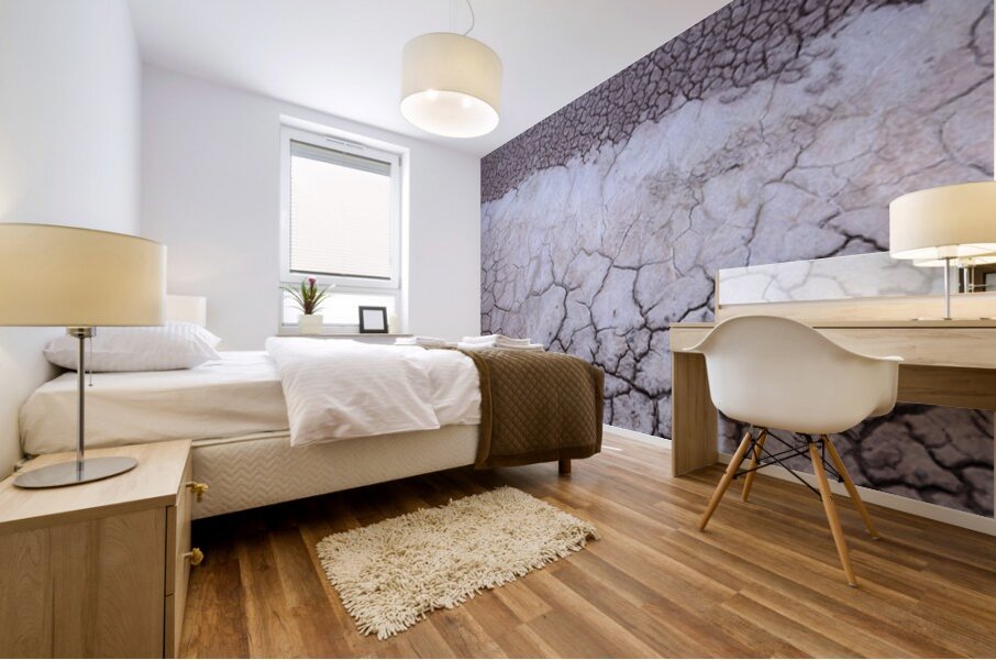 John Day Fossil Beds National Monument Oregon Mural print