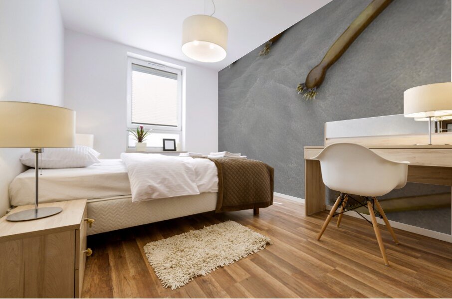 Bull kelp Florencia Beach Pacific Rim National Park Mural print