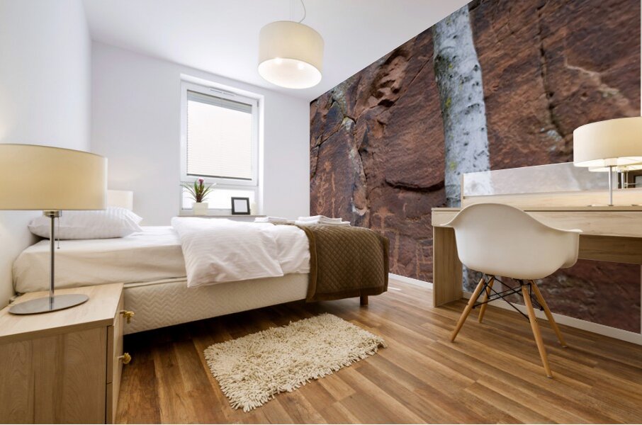 Ancient petroglyphs showcasing animal figures and geometric designs Crane Petroglyph Site Verde Valley Arizona Mural print