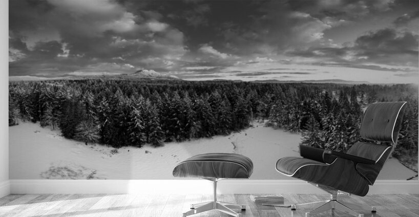 Cowichan Winter - Black & White Wall Murals