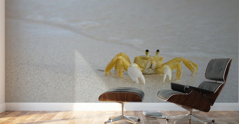 Ghost Crab Wall Murals