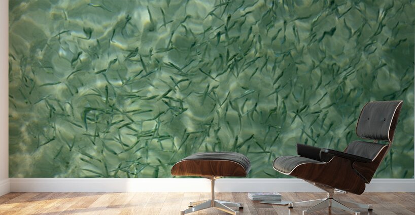 Small reef fish Wall Murals
