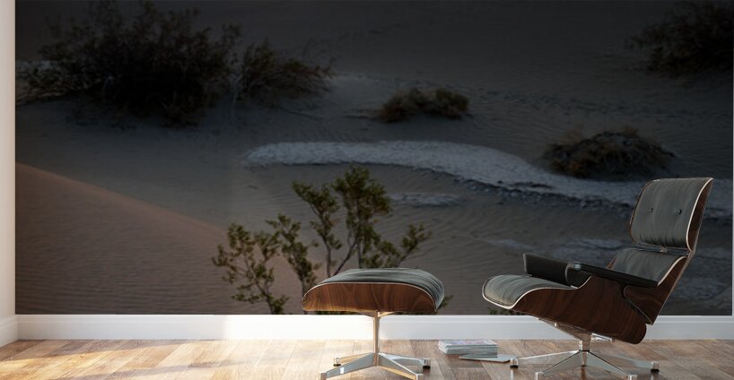 Mesquite Flat Sand Dunes Wall Murals