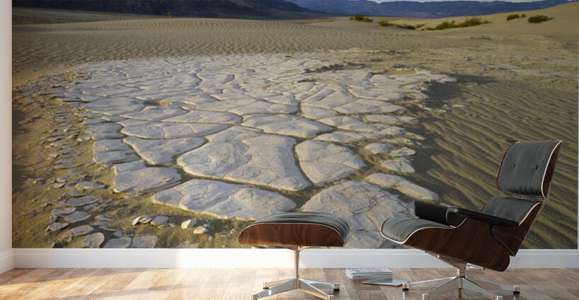 Dried mud exposed on the rippled sand - Mesquite Flat Sand Dunes Wall Murals