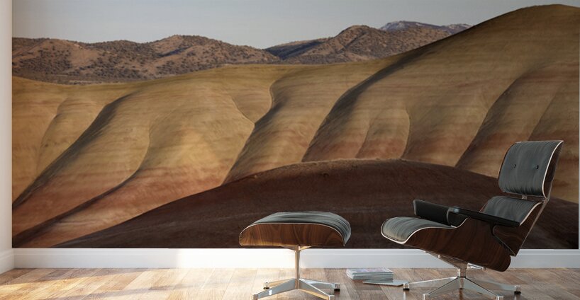 Colorful layers of sediment - John Day Fossil Beds Wall Murals