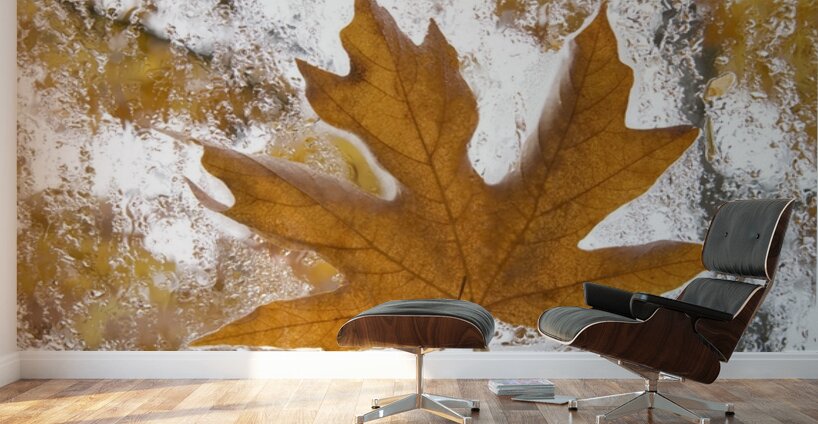 KO 45955 1 Wall Murals