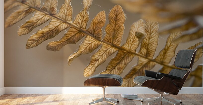 KO 50457 1 Wall Murals