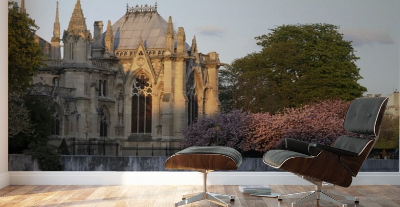 Notre Dame Cathedral Paris France Wall Murals