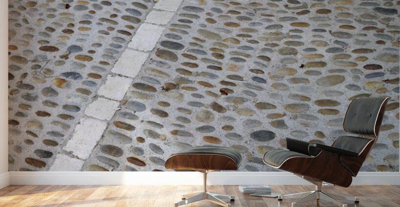 Cobblestone street Lourmarin Wall Murals