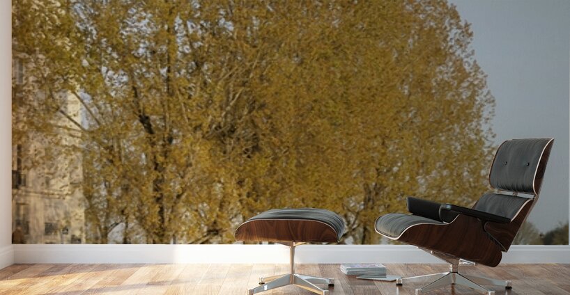 Enjoying a warm spring day on the banks of the Seine River - Paris Wall Murals