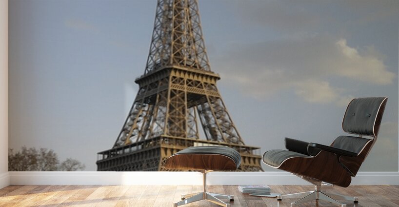 Sightseeing boats and the Eiffel Tower Paris Wall Murals