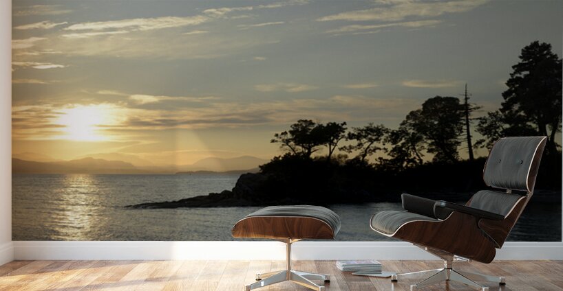 Sunset over Vancouver Island with silhouetted trees Wall Murals